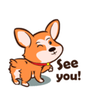 Corgi Dog（個別スタンプ：14）