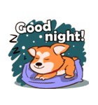 Corgi Dog（個別スタンプ：15）
