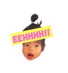 しぇみしぇみ+（個別スタンプ：1）