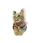 チャロという猫の日常 ver.1（個別スタンプ：1）