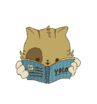Pixel Art Kitten（個別スタンプ：16）