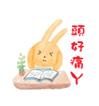grassrabbit daily live（個別スタンプ：35）