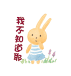 grassrabbit daily live（個別スタンプ：36）