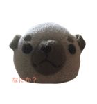 真顔犬（個別スタンプ：1）