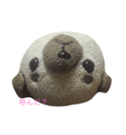 真顔犬（個別スタンプ：3）
