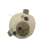 真顔犬（個別スタンプ：5）