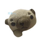 真顔犬（個別スタンプ：8）