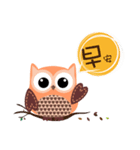 Owl - Miss Orange（個別スタンプ：1）