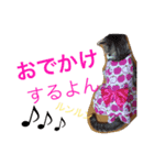 ねこたんのきもち（個別スタンプ：4）