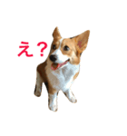 Mochi the baby girl 2（個別スタンプ：2）
