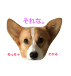 Mochi the baby girl 2（個別スタンプ：6）