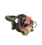Ciel（個別スタンプ：19）