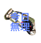 私たちの毎日の一部分（個別スタンプ：5）