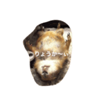 プレーリードッグ Bambi（個別スタンプ：4）