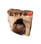 プレーリードッグ Bambi（個別スタンプ：7）