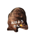 プレーリードッグ Bambi（個別スタンプ：8）