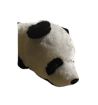 ザパンダ（個別スタンプ：3）