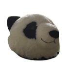 ザパンダ（個別スタンプ：5）