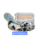 チップとロン（個別スタンプ：11）