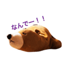 こけつ＆けつまる（個別スタンプ：7）