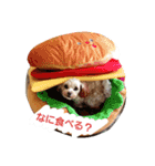 りっちちょこぱん（個別スタンプ：1）