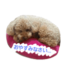 りっちちょこぱん（個別スタンプ：6）
