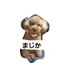 りっちちょこぱん（個別スタンプ：8）