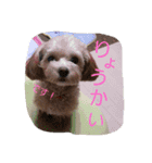 りっちちょこぱん（個別スタンプ：9）