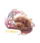 りっちちょこぱん（個別スタンプ：12）