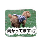りっちちょこぱん（個別スタンプ：14）