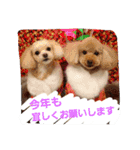 りっちちょこぱん（個別スタンプ：16）