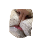 猫太さん（個別スタンプ：5）