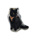 黒猫マルちゃん（個別スタンプ：7）