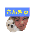 ぷーちゃんの日常の一コマ（個別スタンプ：20）