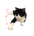 みおとこたろう（個別スタンプ：2）