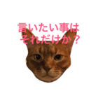 ムーン猫オリジナルスタンプ（個別スタンプ：2）