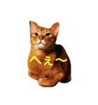 ムーン猫オリジナルスタンプ（個別スタンプ：3）