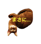 ムーン猫オリジナルスタンプ（個別スタンプ：4）