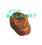 ムーン猫オリジナルスタンプ（個別スタンプ：5）