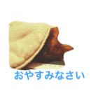 ムーン猫オリジナルスタンプ（個別スタンプ：9）