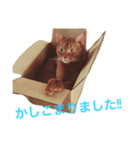ムーン猫オリジナルスタンプ（個別スタンプ：11）