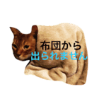 ムーン猫オリジナルスタンプ（個別スタンプ：13）