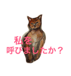 ムーン猫オリジナルスタンプ（個別スタンプ：14）