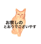 ムーン猫オリジナルスタンプ（個別スタンプ：15）