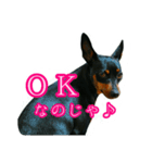 わらわはLottiなのじゃ（個別スタンプ：3）
