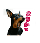 わらわはLottiなのじゃ（個別スタンプ：4）