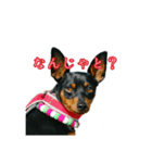 わらわはLottiなのじゃ（個別スタンプ：6）