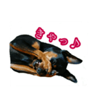 わらわはLottiなのじゃ（個別スタンプ：7）