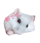 塩（個別スタンプ：1）