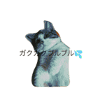 チワワとにゃんこたち（個別スタンプ：17）